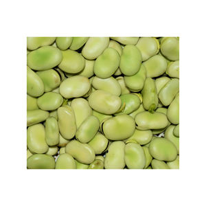 Granos premium disponibles a granel ideales para fabricantes y mayoristas de alimentos - Product Image 6