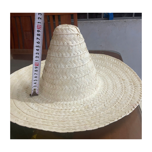 México Moda al aire libre Sombrero de paja mexicano Sombrero de playa natural de ala ancha Logotipo personalizado, colores - Product Image 5