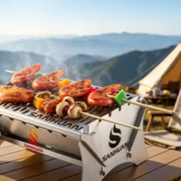 Barbecue portable pliable en acier inoxydable, résistant à la rouille, sans outil, facile à nettoyer, pour pique-nique en plein air, camping-car, 1 à 3 personnes, faibles émissions