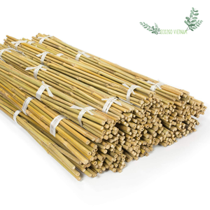 ¡VENTA 2025! Estaca de bambú natural y flexible que soporta flores/Estaca de bambú para jardinería para usar en jardín agrícola - Product Image 1