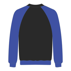 Sweat-shirt d'hiver à manches raglan en molleton vintage avec broderie en chenille, motif Sororité Grecque Divine Neuf, pour femmes noires éduquées Zeta Phi Beta - Product Image 3