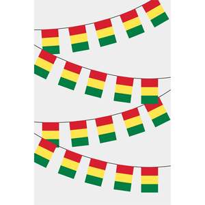 Guirlande rectangulaire du drapeau de la Guinée pour décorations de fête - Product Image 1