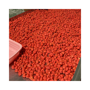 สตรอว์เบอร์รีอบแห้งเกรด 1 ของเวียดนาม ราคาส่ง คุณภาพสูงสุด แบบแช่แข็งอบแห้งทั้งลูก - Product Image 4