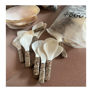 Le fournisseur vietnamien 99 Gold Data fournit une cuillère en nacre et une cuillère en coquillage pour l'emballage des aliments et des cadeaux - Product Image 5