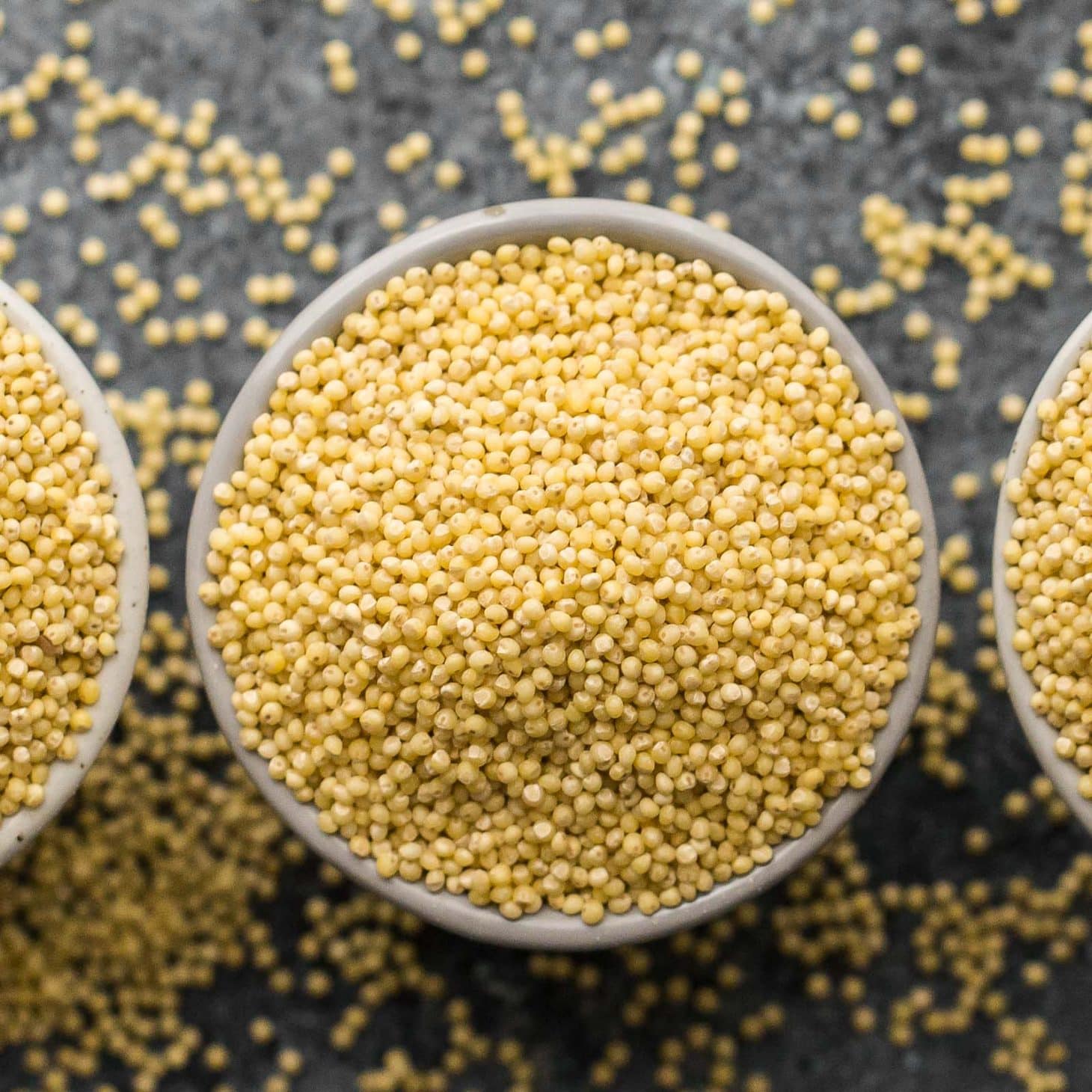 Polished Millet Organic Grain Yellow Millet