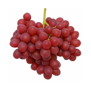 Raisins noirs sans pépins, saveur intense, riches en antioxydants, peaux brillantes, cueillis à la main, qualité supérieure, produits frais de la ferme - Product Image 4