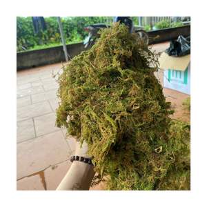 Mousse de forêt séchée pour le séchage-Accessoires de greffage d'orchidées, rétention d'humidité pour les orchidées Phalaenopsis de Blue Lotus Farm - Product Image 4