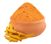 Poudre de curcuma naturelle 100% de haute qualité du fabricant et exportateur d'épices de réputation du Vietnam Mme Edna (+ 84) 903 261 233
