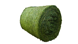 Haute teneur en fibres haute teneur en protéines vert frais Rhodes herbe foin Double balle comprimée aliments pour animaux séchés Pakistan pour le fourrage de bovins porcins - Product Image 2