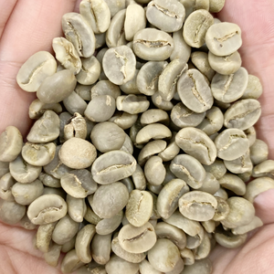 Top Quality Vietnam Arabica Green <b>Coffee</b> <b>Beans</b> Handpicked High Caffeine OEM/ODM Support OEM/ODM Service Available - Product Image 4