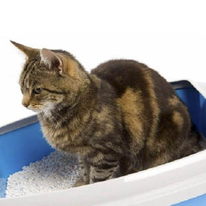 Lettiera per gatti in silicone inodore igienico Ultra assorbente da 3.8 litri - Product Image 3