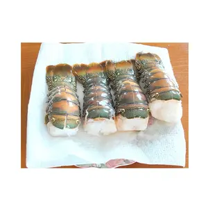 Colas de langosta congeladas canadienses Langostas frescas para la venta