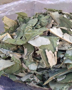 NATURAL DRIED LOTUS LEAVES, FOOD GRADE - Product Image 3