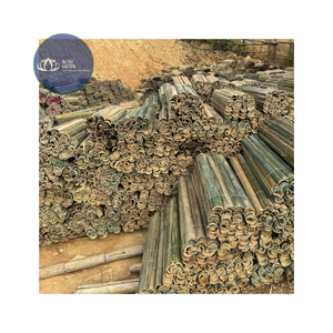 Piquets de jardin en bambou naturel écologiques de haute qualité, durables, personnalisables, bleus - Product Image 1
