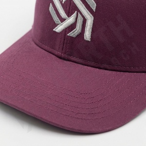 Gorra de Béisbol Personalizada de 5 Paneles con Costuras, Color Personalizado, Logotipo Bordado en la Parte Delantera y el Lado Izquierdo, Ropa Deportiva de Calle Ajustable - Product Image 4