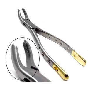 Instruments dentaires de qualité supérieure pour l'exportation Extraction de dents pour adultes Forceps certifiés CE en acier inoxydable à usage intensif - Product Image 2