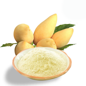 Poudre de mangue verte séchée par sublimation à prix compétitif fabriquée au Vietnam - Product Image 4