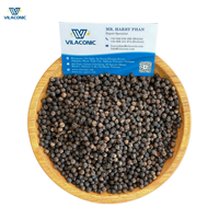Vente en gros de poivre noir du Vietnam de haute qualité 100% produit biologique naturel pas cher prêt à expédier en vrac