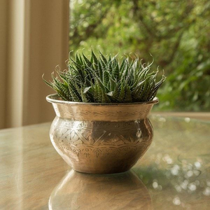 Suministro directo de fábrica Maceta y macetas de flores de latón macizo Recién llegado Forma y tamaño personalizados Maceta y macetas de flores de lujo - Product Image 2