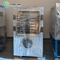 Automatische Chili Cherry Fruit en Groente Vacuüm Vriesdroogmachine Lyofilisator te Koop