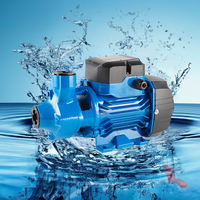 Pompa Air Listrik Rumah Tangga QB60 untuk Kebun, Rumah, dan Penggunaan Domestik, Pompa Inline Vortex Bersih 1 0.5hp, Pompa Booster Air Rumah