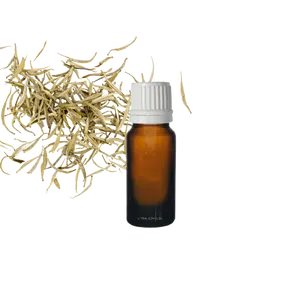 OEM Custom Brand Top Quality 100% Natural and Organic White Tea Flower Extract Essential Oil for Bulk Buyers