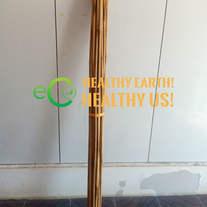 Best Selling 2025 Natural Sustainable Colored Bamboo Pole for Tree Support <b>Nursery</b> Stakes , Grower <b>Supply</b> - Product Image 3