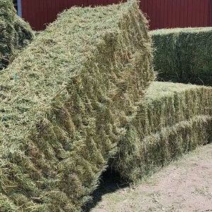 Productos frescos, heno de alfalfa para alimentación de animales de ganado, pacas de alta calidad, marca Harlem - Product Image 2