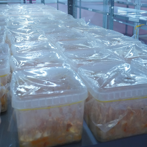 Offre Spéciale prix usine séché Cordyceps Militaris champignon haute teneur en Cordycepin lyophilisation complément alimentaire - Product Image 3