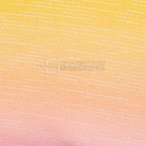 Ropa de Gimnasio y Fitness para Mujer, Conjuntos de Yoga, Nuevo Estilo Casual, Conjunto de Yoga para Mujer en Venta Online - Product Image 6