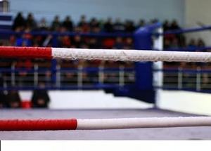 Vente en gros d'anneau standard de couverture de corde logo personnalisé et taille de corde en cuir artificiel de boxe couverture de ring de boxe - Product Image 2