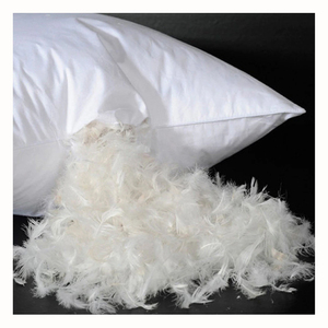 Áo khoác lông vũ vịt cao cấp, ấm áp vượt trội, thoải mái, nhẹ nhàng, bền bỉ, nhuộm màu, được xử lý giặt, có trang trí. - Product Image 3