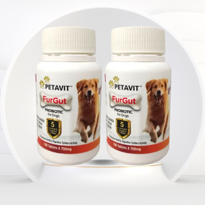 Lactomax Probiotische Geitenmelk Kauwtabletten Honden Immuun Darm Gezondheid Spijsvertering Ondersteuning Vanille Smaak Veilig Snel Absorptie Alles - Product Image 1