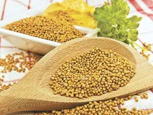 Graines de moutarde jaunes entières – 100 % naturelles, pures et biologiques - Product Image 1