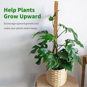 <b>Cover</b> Shipping Fee US Stock 4pcs <b>Plastic</b> Coated Moss Pole Kit Garden Ties Labels Coir Totem Pole Monstera Indoor Plants Support - Product Image 4