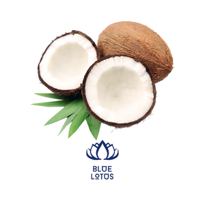 NOIX DE COCO Emballage de haute qualité ferme agricole utilisé Silo sac poids matériel origine certificat contrôle taille produit Place - Product Image 1