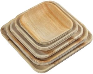 Assiettes Areca jetables de qualité d'exportation indienne pour servir les aliments du fabricant indien à un prix abordable - Product Image 5