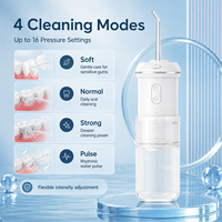 Tragbarer Elektrischer Kabelloser Faltbarer Wasserflosser 190ml IPX7 Wasserdicht USB Aufladbar 4 Modi 360° Düse Hotel
