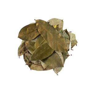 Feuilles de corossol séchées de haute qualité-Standard microbien sûr et feuilles de corossol séchées de couleur naturelle fraîche pour l'exportation - Product Image 3