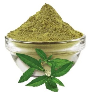 Polvo de Bhringraj de Calidad Inigualable, Garantía de Alta Pureza, Bhringraj Puro Envasado al Vacío para Todos Nuestros Compradores - Product Image 1