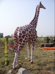 ESTATUAS DE JIRAFA DE FIBRA DE VIDRIO DE TAMAÑO REAL ESTATUAS DE POLIRESINA ESCULTURA DE JIRAFA - Product Image 4