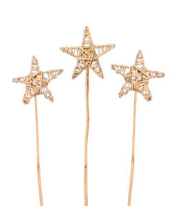 Vigne Naturel Produit Décorations Halloween Graduation Mariages Fêtes-Décorations Pour La Maison Matériaux - Product Image 3