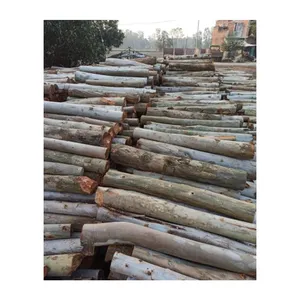 Good Deal 100% Solid Hard Eucalyptus Wood Log Available to Export from Vietnam Premium Timber Acacia Rough Wood