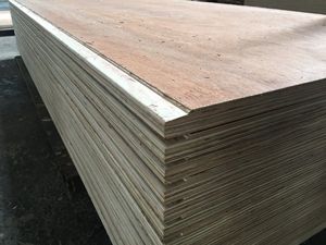 Hoja de madera contrachapada comercial de fábrica de Vietnam, chapa de abedul de álamo, madera contrachapada de 4x8, eucalipto, muebles de 18mm de espesor, uso E0 - Product Image 6