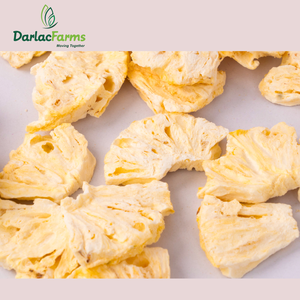 OEM 50kg MOQ amarillo claro rodajas dulces piñas liofilizadas sabor listo embalaje a granel proceso de liofilización - Product Image 1