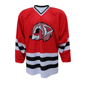 Diseño Personalizado de Camiseta de Hockey con Logotipo del Equipo, Ropa de Hockey sobre Hielo - Product Image 1