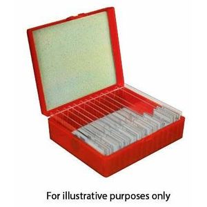 Juego de 25 Portaobjetos Preparados para Microscopio de Biología - Product Image 1