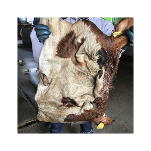 Revendeur de peaux de vache salées sèches et humides au prix le plus bas/peaux/animaux - Product Image 1