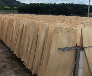 Placage naturel en bois d'eucalyptus pelé pour un design d'intérieur traditionnel pour une utilisation en cuisine coupé avec la technique rotative - Product Image 2