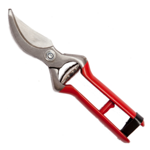 Forbici con manico in plastica cm. 21 - Product Image 1